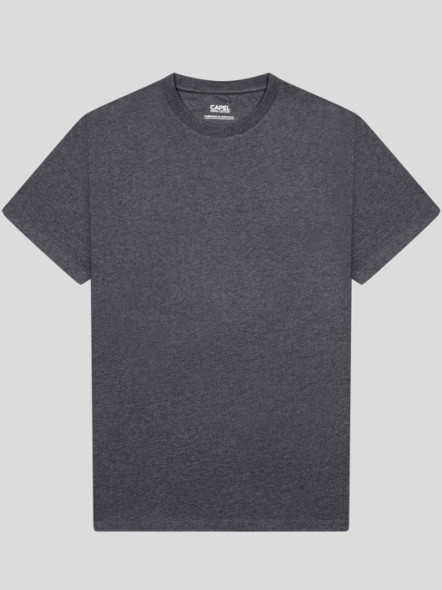 Tee-shirt Louis Col Rond Anthracite Capel Grande Taille