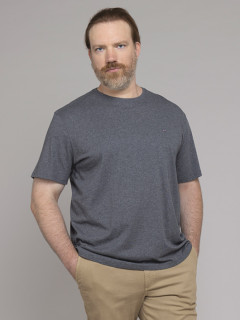 Tee-shirt Anthracite Eden Park Grande Taille  homme grande taille - Capelstore