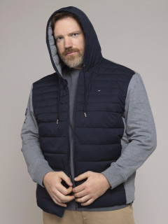 Sweat Hoodie Mat. Eden Park Grande Taille  homme grande taille - Capelstore