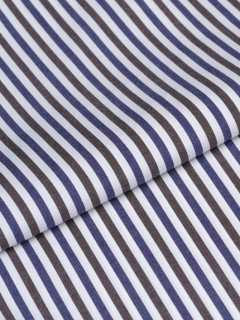 Chemise Rayee Paul & Shark Grande Taille  homme grande taille - Capelstore