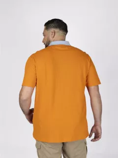 Polo Avec Contraste Au Col Paul & Shark Grande Taille cannelle homme grande taille - Capelstore