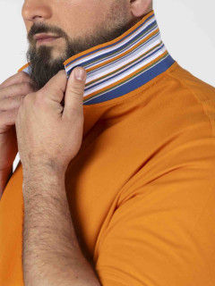 Polo Avec Contraste Au Col Paul & Shark Grande Taille cannelle homme grande taille - Capelstore