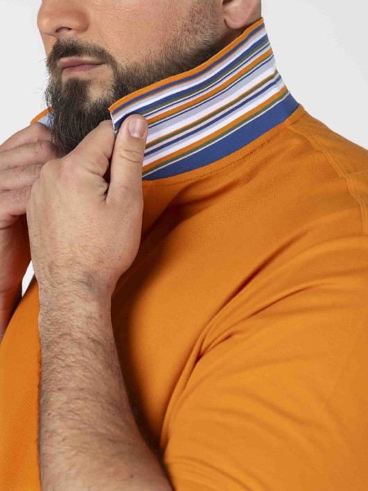 Polo Avec Contraste Au Col Paul & Shark Grande Taille cannelle homme grande taille - Capelstore
