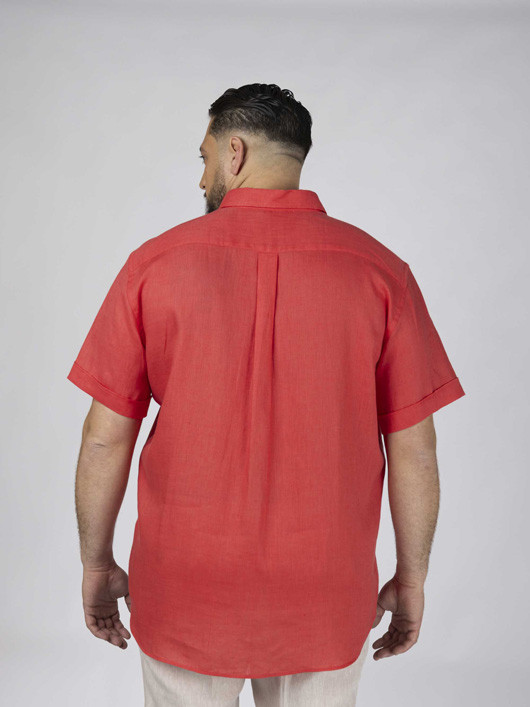 Chemisette Zack Lin Corail Capel Grande Taille homme grande taille - Capelstore