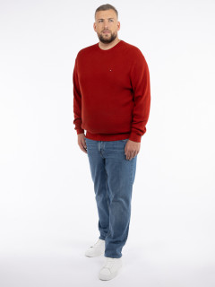Jean Stone Tommy Hilfiger Grande Taille bleu stone homme grande taille - Capelstore
