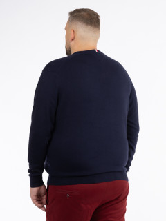 Pull Coton/cach. Marine Tommy Hilfiger Grande Taille  homme grande taille - Capelstore
