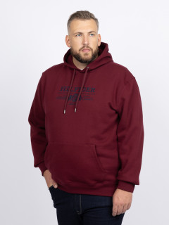 Sweat Capuche Brode Tommy Hilfiger Grande Taille bordeaux homme grande taille - Capelstore