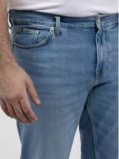 Jean Delave Tommy Hilfiger Grande Taille