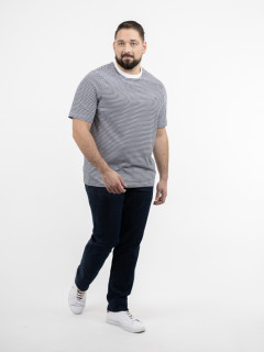 Tee-shirt Raye Tommy Hilfiger Grande Taille blanc homme grande taille - Capelstore