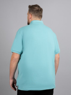 Polo Turquoise Ralph Lauren Grande Taille vert homme grande taille - Capelstore