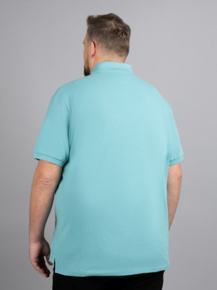Polo Vert Amande Ralph Lauren Grande Taille
