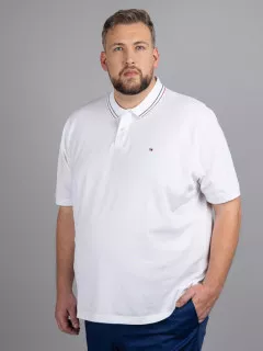 Polo Blanc Tommy Hilfiger Grande Taille blanc homme grande taille - Capelstore
