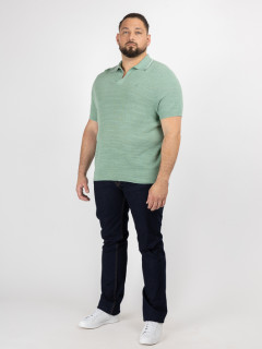 Polo Maille Vert Ralph Lauren Grande Taille vert amande homme grande taille - Capelstore