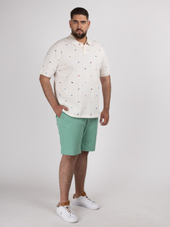 Bermuda Vert Tommy Hilfiger Grande Taille vert homme grande taille - Capelstore