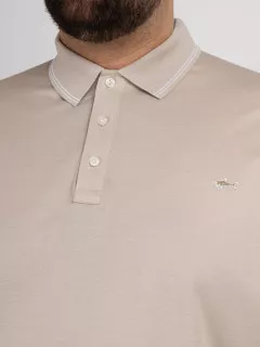 Polo Pique Beige Paul & Shark Grande Taille  homme grande taille - Capelstore