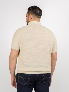Polo Maille Beige Ralph Lauren Grande Taille beige homme grande taille - Capelstore