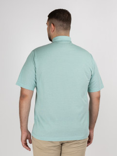 Polo Vert Amande Coton Pique Capel Grande Taille vert amande homme grande taille - Capelstore
