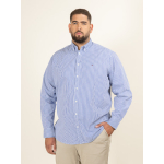 Chemise Rayee Tommy Hilfiger Grande Taille bleu homme grande taille - Capelstore