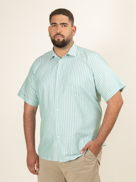 Chemisette Greg Rayee Capel Grande Taille