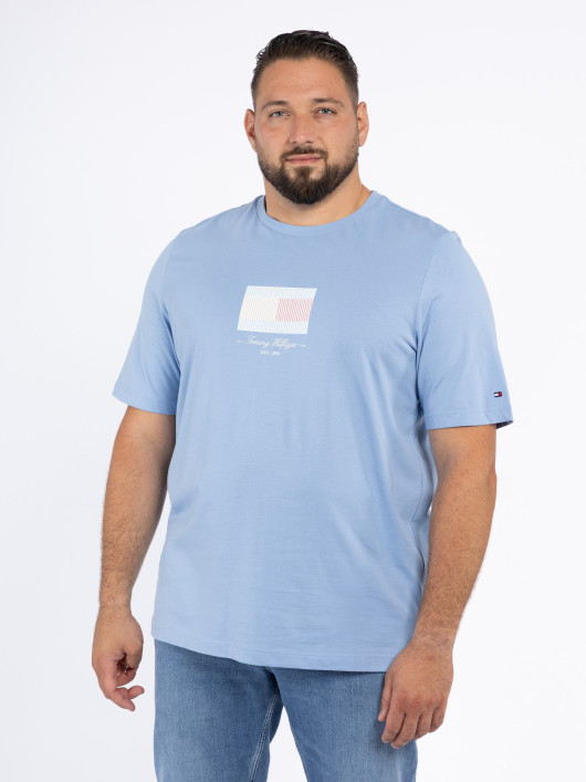 Tee-shirt Bleu Tommy Hilfiger Grande Taille
