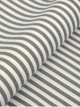 Chemise Rayée Grande Taille Kaki