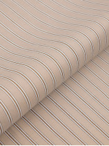 Chemise Rayée Beige Grande Taille - Capelstore