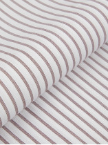 Chemise Rayée Grande Taille Beige