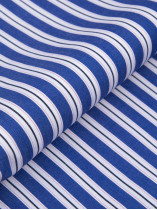 Chemise Rayée Grande Taille Bleu