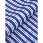 Chemise Rayée Grande Taille Bleu