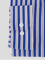 Chemise Rayée Grande Taille Bleu