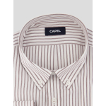 Chemise Rayée Grande Taille Beige