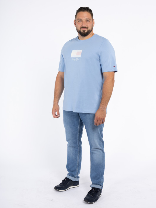 Tee-shirt Bleu Tommy Hilfiger Grande Taille