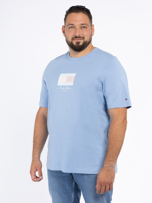 Tee-shirt Bleu Tommy Hilfiger Grande Taille