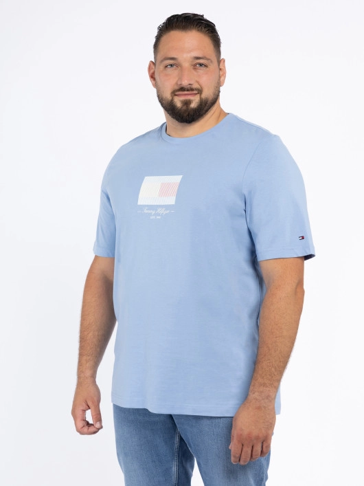 Tee-shirt Bleu Tommy Hilfiger Grande Taille