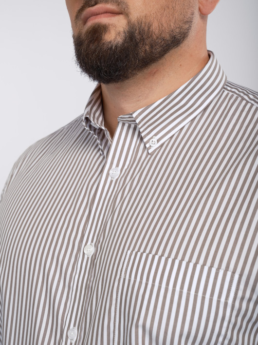 Chemise Rayée Grande Taille Kaki