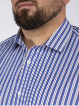 Chemise Rayée Grande Taille Bleu