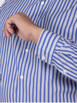 Chemise Rayée Grande Taille Bleu