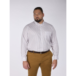 Chemise Rayée Grande Taille Beige