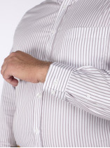 Chemise Rayée Grande Taille Beige