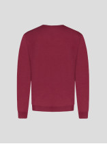 Pull Col V Laine Mérinos Rose Grande Taille