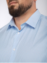 Chemise Satinée Bleu Rayée Grande Taille