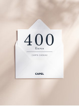 CARTE CADEAU 400 EUROS