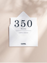 CARTE CADEAU 350 EUROS