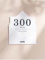 CARTE CADEAU 300 EUROS