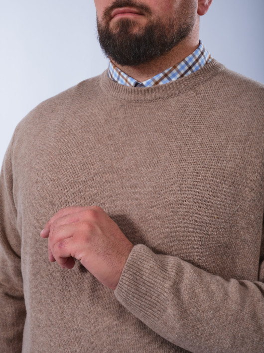 Pull Col Rond Laine Grande Taille Beige