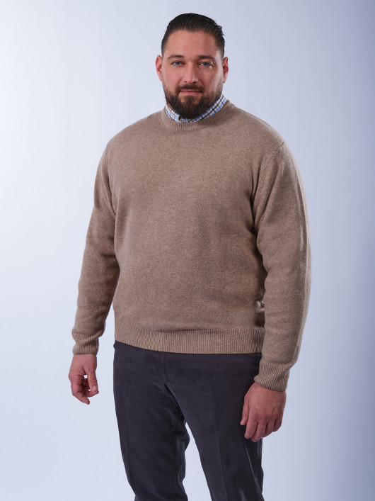 Pull Col Rond Laine Grande Taille Beige