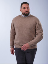 Pull Col Rond Laine Grande Taille Beige