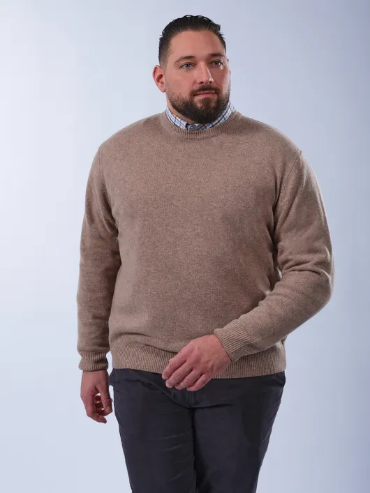Pull Col Rond Laine Grande Taille Beige