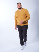 Pull Col V Lambswool Grande Taille Jaune