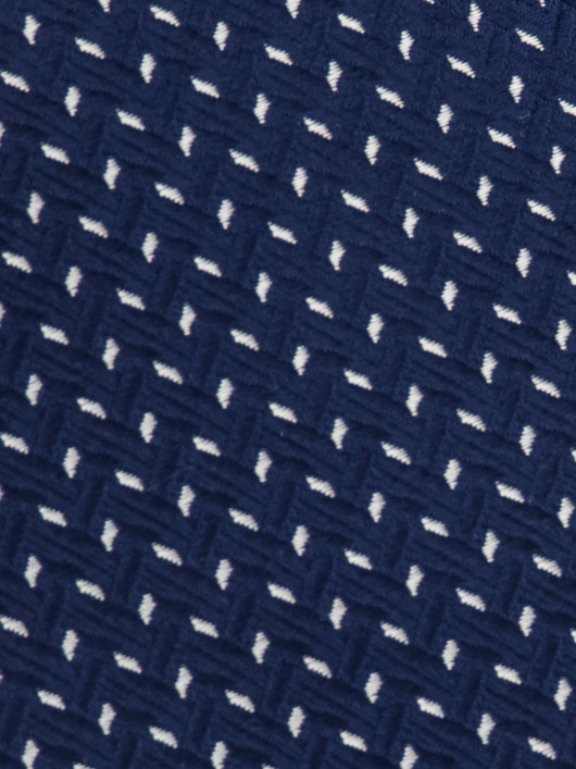 Cravate en Soie Micro Pois sur Fond Marine Grande Taille | Capelstore